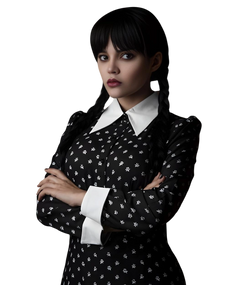 Adult Black and White Gothic Peter Pan Collar Dress Adult Black and White Gothic Peter Pan Collar Dress