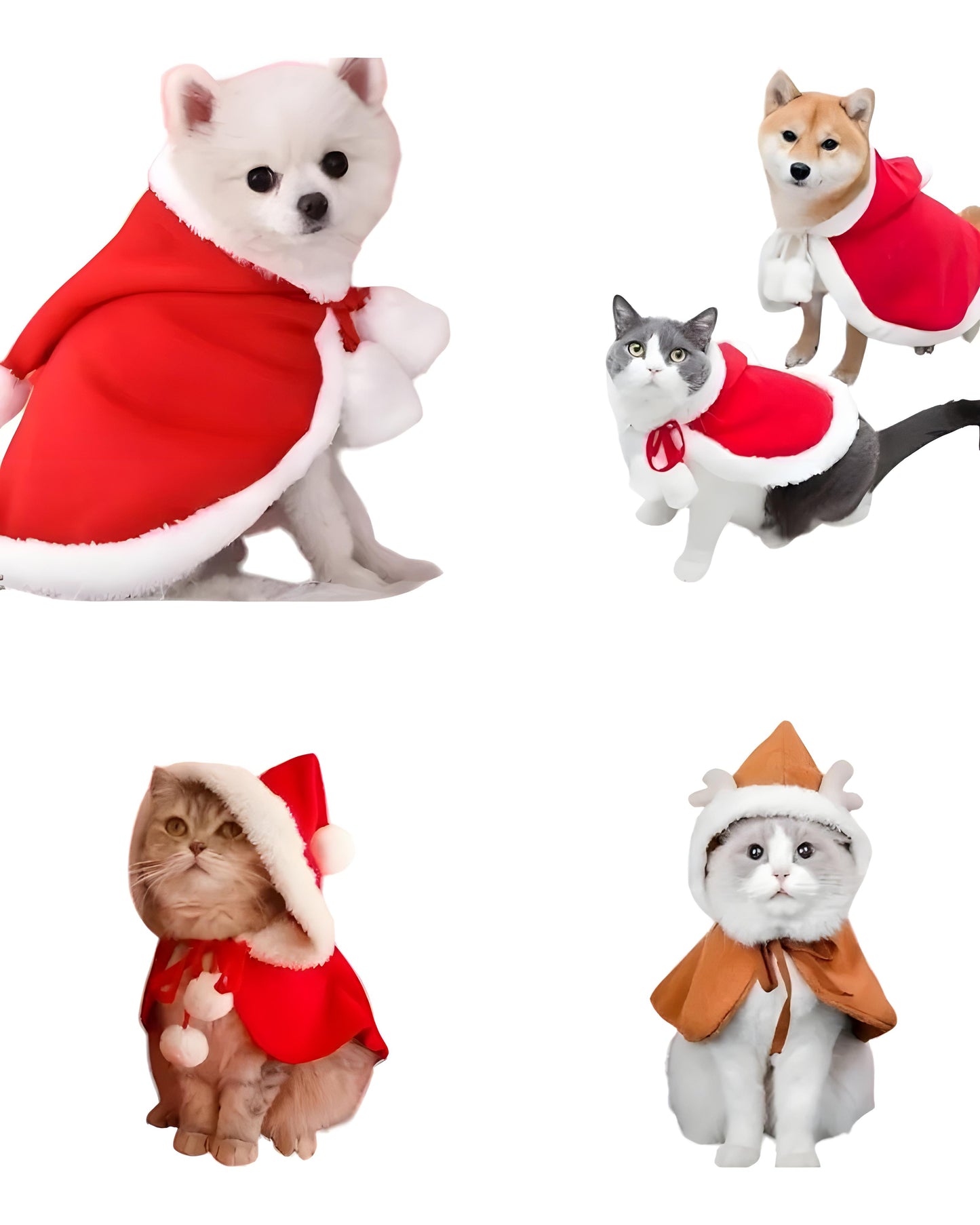 Pet Santa and Reindeer Costume